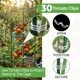 thumbnail image 4 of Cage para tomates K-Brands, paquete de 3, enrejado cuadrado de 104 cm, 4 of 8