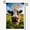 C, variant on XaaKee Garden Flag, Funny Farm Portrait Goat Yard Flag, Double-Sided High-Quality White Linen Garden Flags For Outside, Beautiful Decor For Front Yard, 12x18Inch.