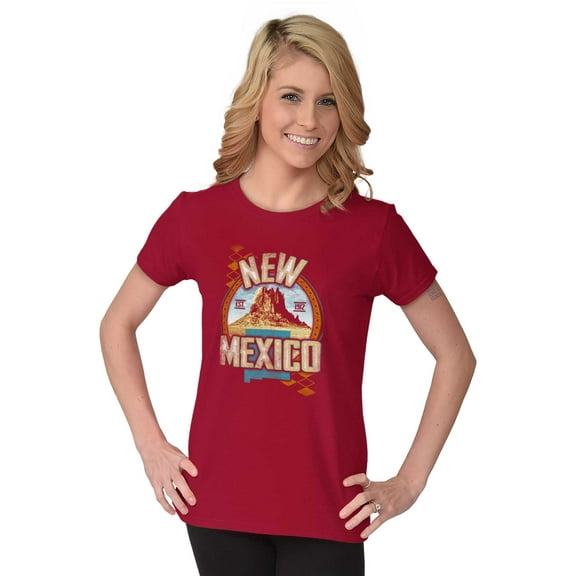 New Mexico Desert Mountain Landscape Womens Slim Fit Graphic Tee Brisco Brands S