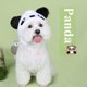 thumbnail image 4 of Paquete de 2 divertidos disfraces de mascotas para gatos y perros pequeños, disfraz de gato, sombrero, tocado, Cosplay, 4 of 5