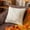 White, variant on Throw Pillow Covers 20x20 Inch, Soft Plush Pumpkin Decorative Square Pillowcases, Farmhouse Holiday Cushion Covers for Sofa Living Room Home Fall Halloween Thanksgiving Decor