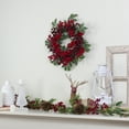 thumbnail image 2 of Northlight 18" Unlit Red Berries and Two-Tone Green Leaves Artificial Christmas Wreath, 2 of 6