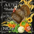 thumbnail image 3 of Maday, Jane 15x15 Black Modern Framed Museum Art Print Titled - Harvest Greetings I, 3 of 5