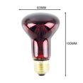 thumbnail image 4 of Ampoule de Chauffage Infrarouge pour Animaux de Compagnie 40W pour Reptile, 4 of 5