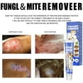 thumbnail image 2 of Ofocase Pet Mite Removal Cream Dog Cat Skin Disease Treat Cream Anti-itch Clean Repair Tools, 2 of 5
