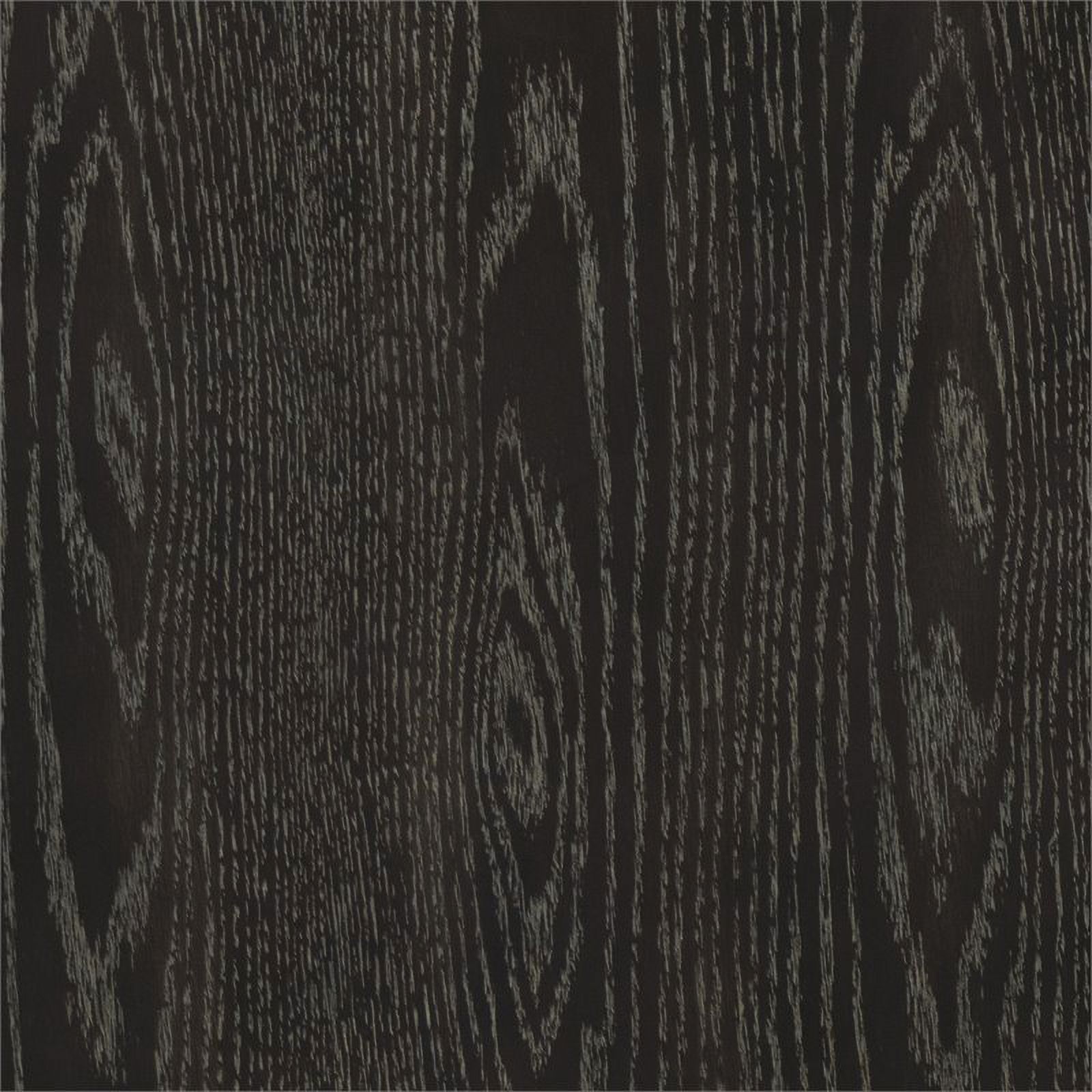 Lexicon Grant Oak and Engineered Wood 2-Drawers Nightstand in Ebony/Silver