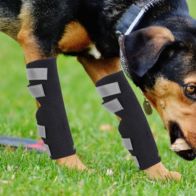 Dog Legs Braces, Practical Great Material for Home