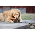 thumbnail image 3 of Beef Collagen Sticks for Dogs, Collagen Retriever Roll Dog Treat 5" - 4ct, 3 of 5