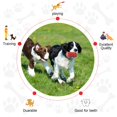 thumbnail image 5 of vecelo Bear shaped Dog Chew Toy Medium Dogs, Interactive Toys for Dogs Training Dental Care Dog Toys, 5 of 7