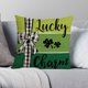 thumbnail image 5 of St. Patrick's Day Pillow Cover Sofa Pillow Cover Washable Pillow Cover Holiday Gift Suitable For Sofa Bedroom Office, 5 of 6