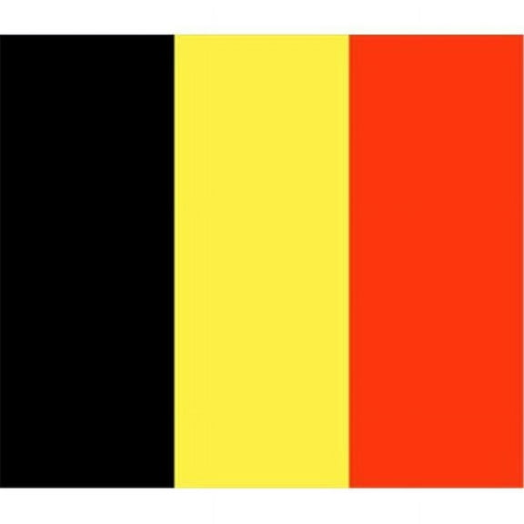 2 ft. X 3 ft. Nyl-Glo Belgium Flag