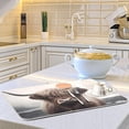 thumbnail image 6 of Coolnut Highland Cow Dish Drying Mat for Kitchen Counter, Ultra Absorbent Reversible Microfiber Dishes Drying Rack Pad Heat-resistant Mats 18x24in Home Decor, 6 of 7
