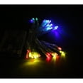 thumbnail image 4 of The Perfect 600026 30 LED String Light Battery Operated, Green, 4 of 7