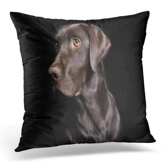 BOSDECO Retriever Brown Dog Low Key of Chocolate Lab on Black in Three Quarter Profile Labrador Dark Pillowcase Pillow Cover Cushion Case 18x18 inch