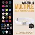 thumbnail image 6 of Hold'em Elastic Belt for Toddler Unisex Kids with Silver Square Buckle - White, 6 of 6