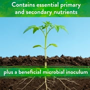 Down To Earth All Natural Fertilizers Starter Mix 3-3-3, 1 lb Mini Box