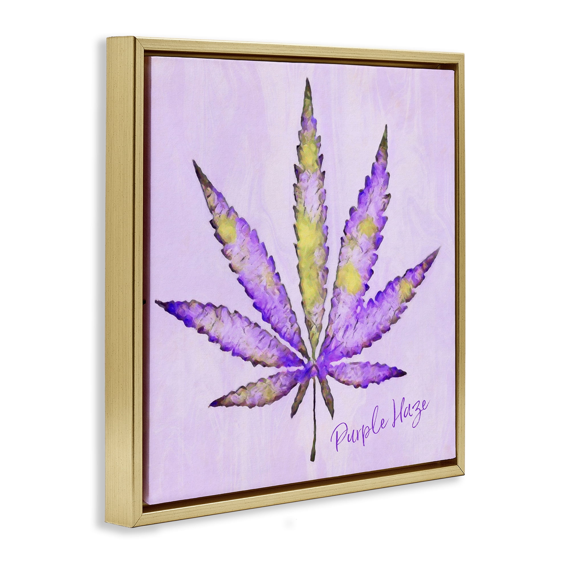 Stupell Industries Purple Haze Plant Leaf Plants & Flowers Painting Gold Floater Framed Canvas Art Print Wall Art, 18 x 18