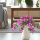 thumbnail image 1 of Flores artificiales de gloria de la mañana con tallo, para jardín, protección solar, flores de seda, planta falsa para pasillo, Acción de Gracias, Rojo, 1 of 8