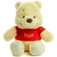 thumbnail image 1 of Winnie the Pooh and Friends Plush Toy for Babies, 30cm/48cm, 1 of 4