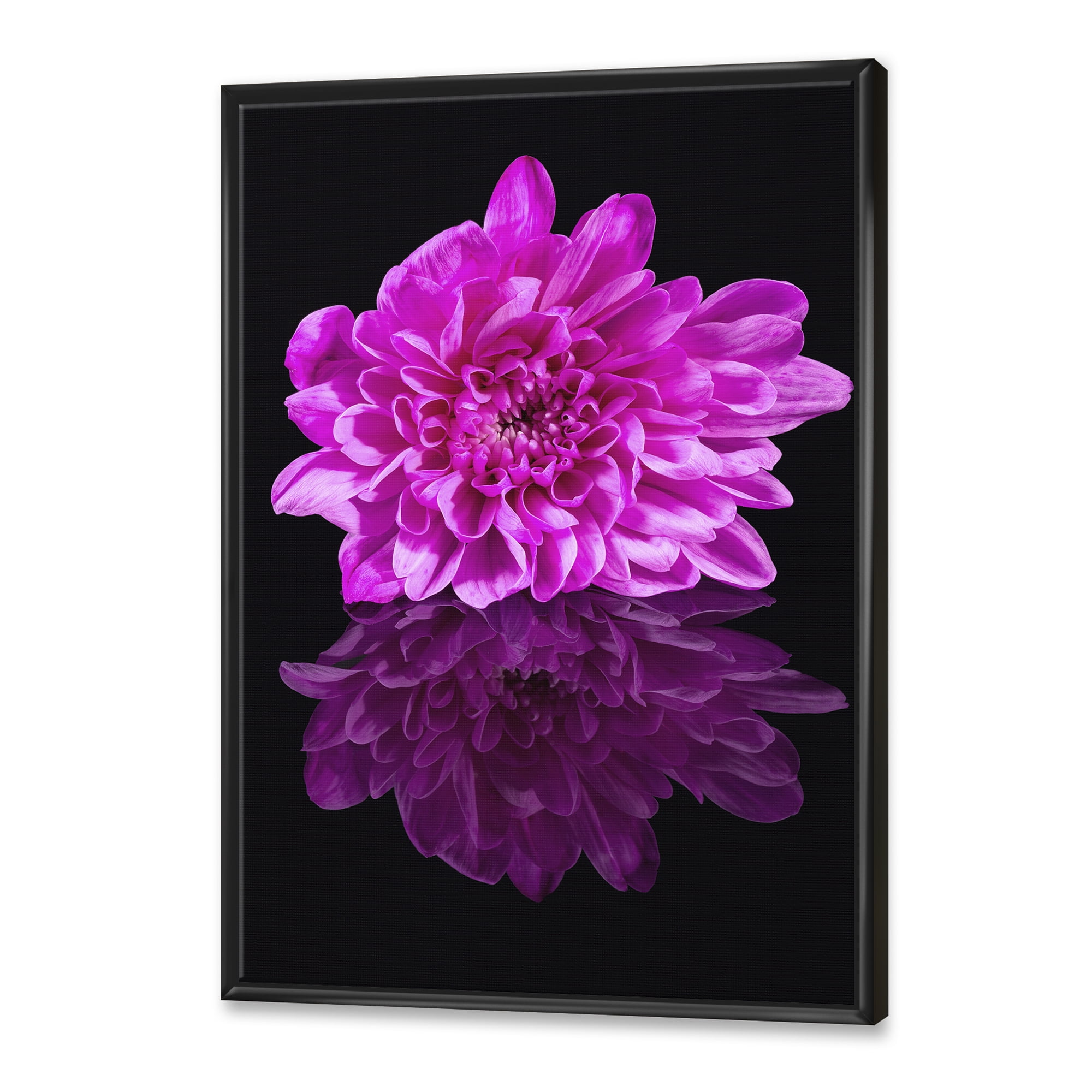 Designart 'Single Purple Chrysanthemum Flower On Black Reflection' Traditional Framed Canvas Wall Art Print