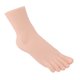 thumbnail image 5 of Modelo De Pie Femenino, Maniquí De Pie Simulado De 7 Cm De Ancho, Pie Derecho Cómodo Para Exhibición De Zapatos Y Calcetines, 5 of 7