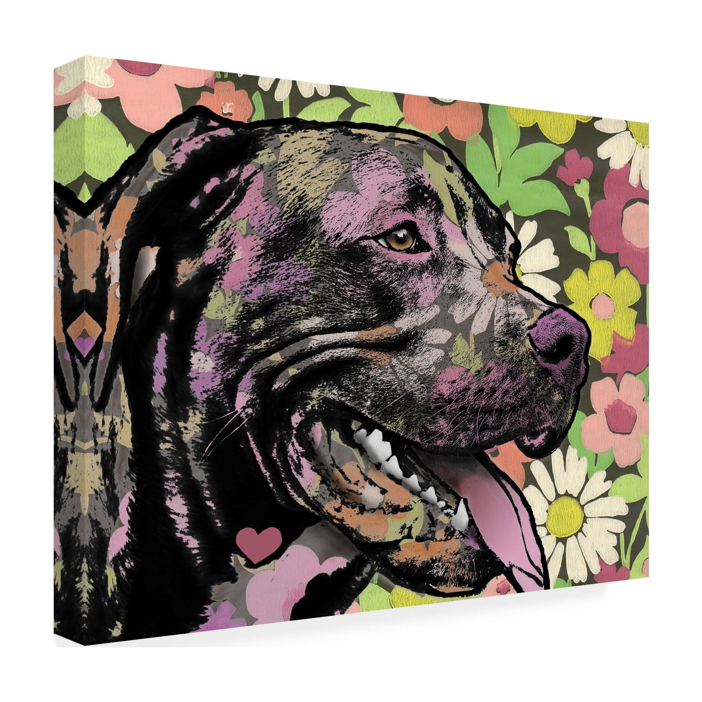 Canvas Wall Art - Dean Russo 'Out There' Wall Art for Living Room, Bedroom, or Office DÃ©cor by Trademark Fine Art - 24 x 18 Inches