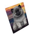 thumbnail image 1 of Keeshond Couverture pour Chien BLNKT92460, 1 of 3