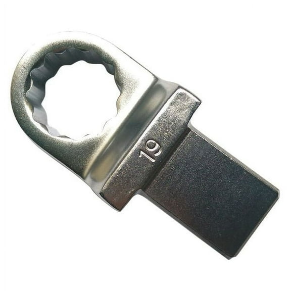 Westward Torque Wrench Head,Box End,19mm 19ZC87