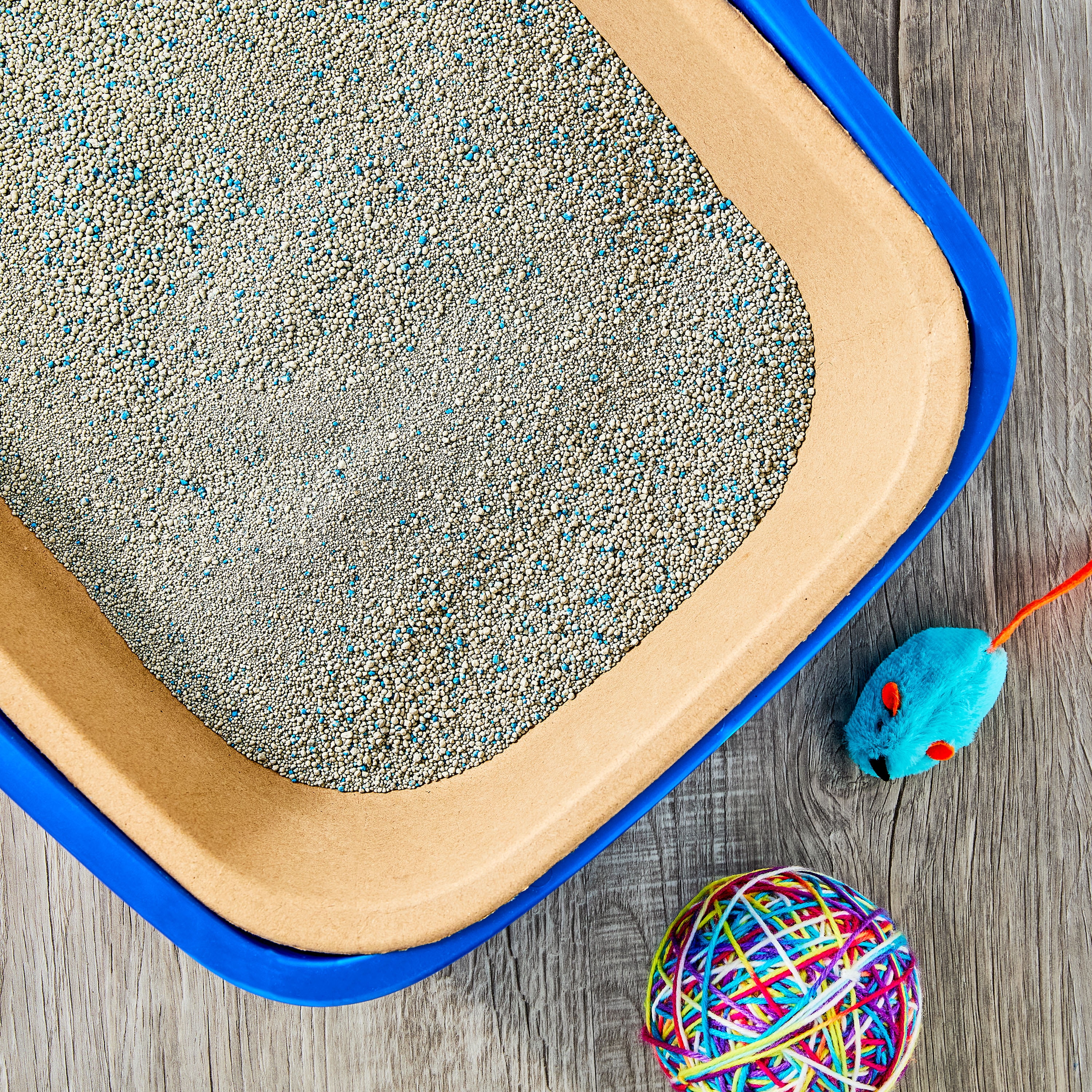 Vibrant Life Disposable Water-Resistant Cat Litter Box, 3 Count