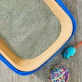 thumbnail image 2 of Vibrant Life Disposable Water-Resistant Cat Litter Box, 3 Count, 2 of 6