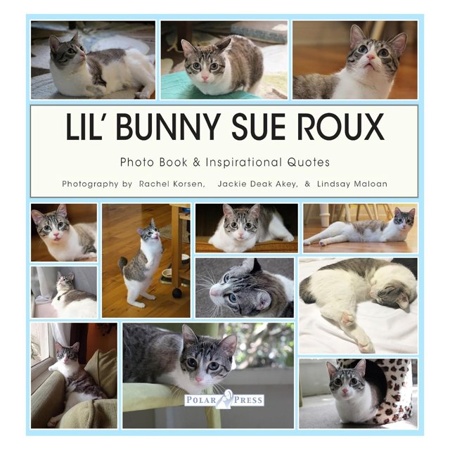 Libro Golden Bell Studios Lil' Bunny Sue Roux Tapa dura