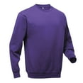 thumbnail image 3 of Pro RTX Mens Pro Sweatshirt, 3 of 4