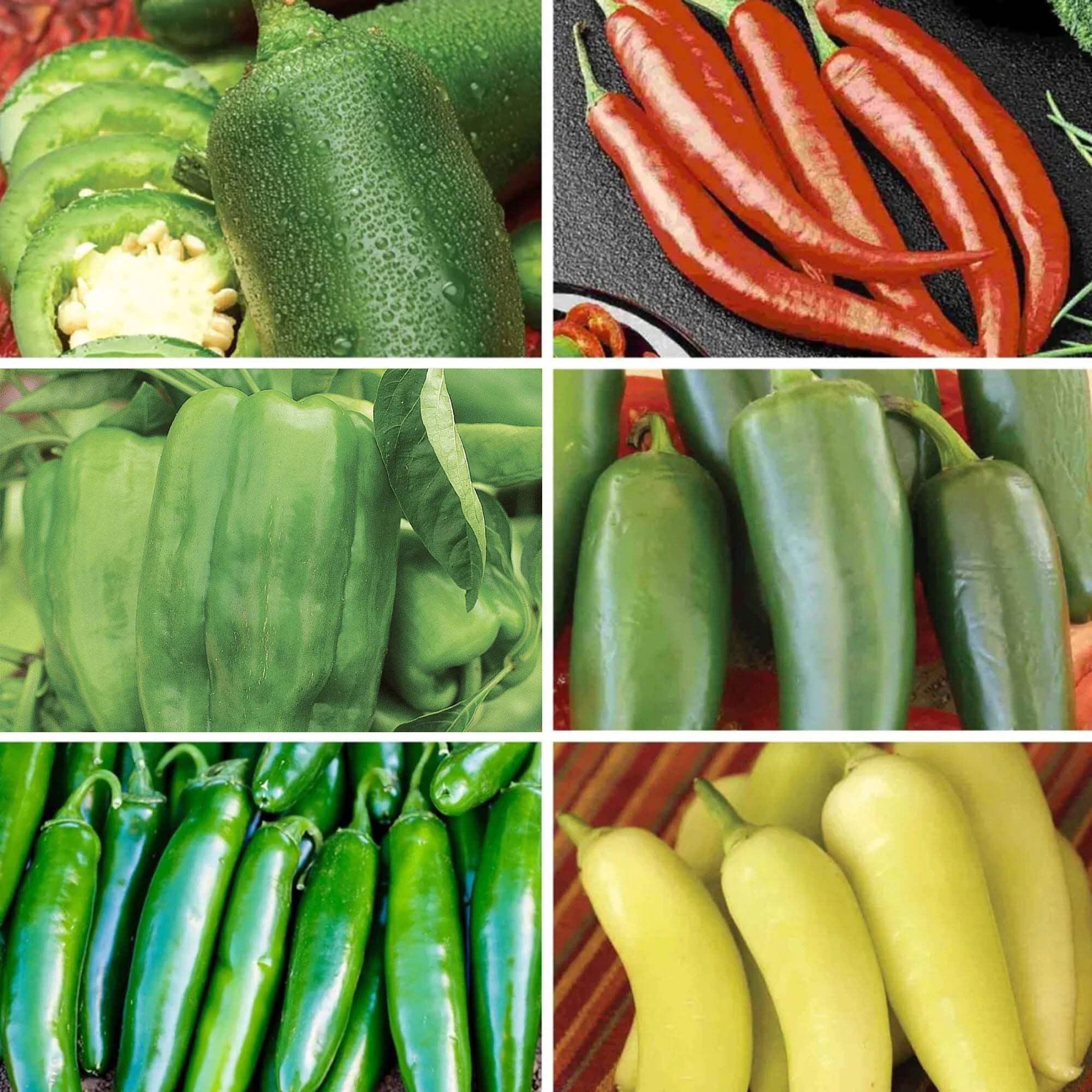 Ferry-Morse Pepper Enthusiast Non-GMO Seed Variety Pack - 6 Pack