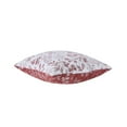 thumbnail image 6 of (2 pack) Mainstays 18" x 18" Red Canyon Airy Fern Reversible Chenille Decorative Pillow, 6 of 7