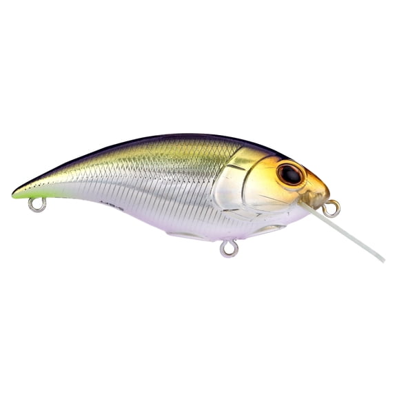 Shallow Money Badger Fishing Crankbait, 2.75 in, Nebu