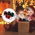 thumbnail image 3 of 4pcs Lovely Christmas Gift Packaging Bags Xmas Apples Containers Gift Bags, 3 of 9