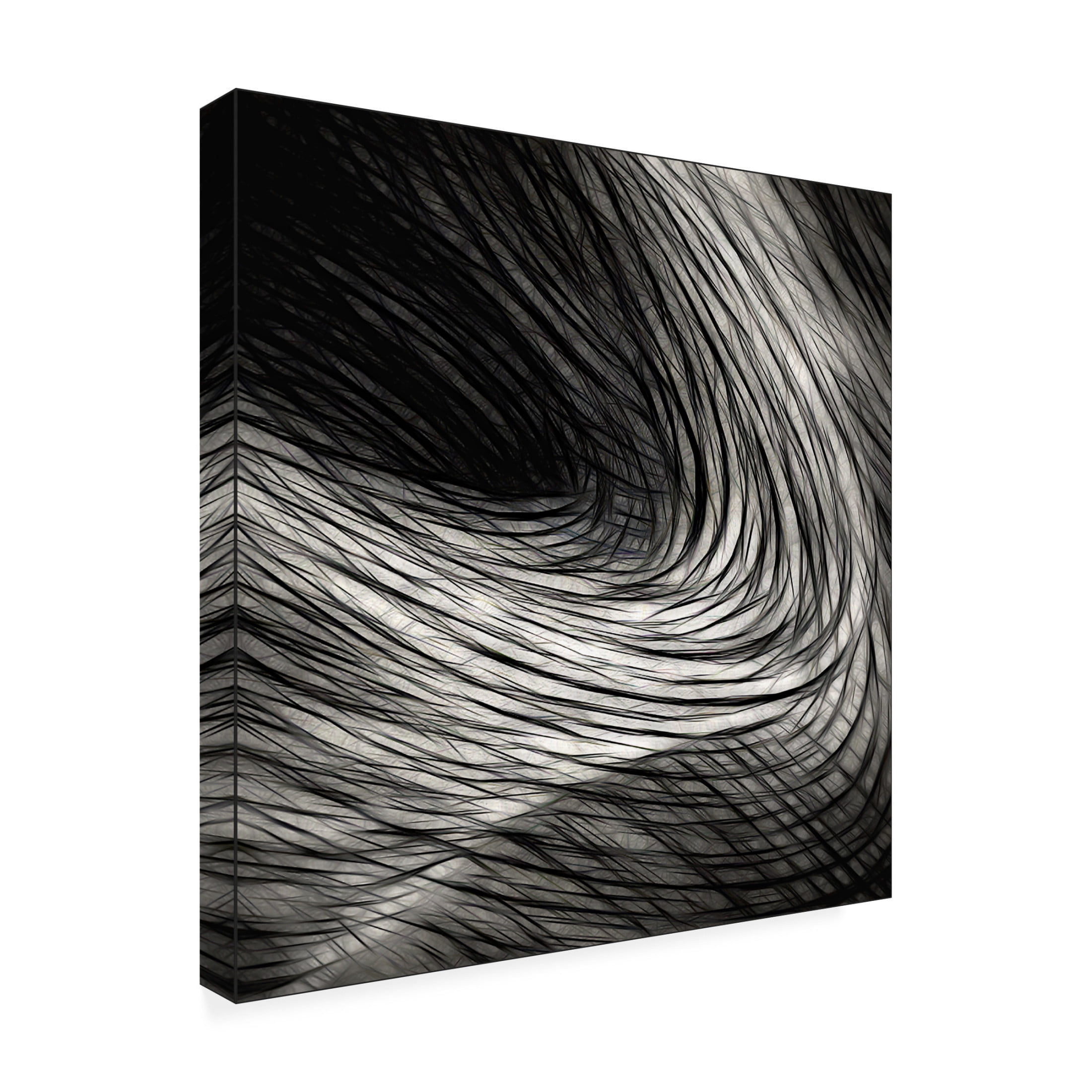 Trademark Fine Art Gilbert Claes  Dark madness Canvas Wall Art