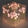 thumbnail image 1 of Luz De Noche De Tulipán, Lámpara De Noche Decorativa LED, Lámpara De Mesa De Flores De Tulipanes De Cubo Mágico DIY Para Mujeres Y Niñas, 1 of 7