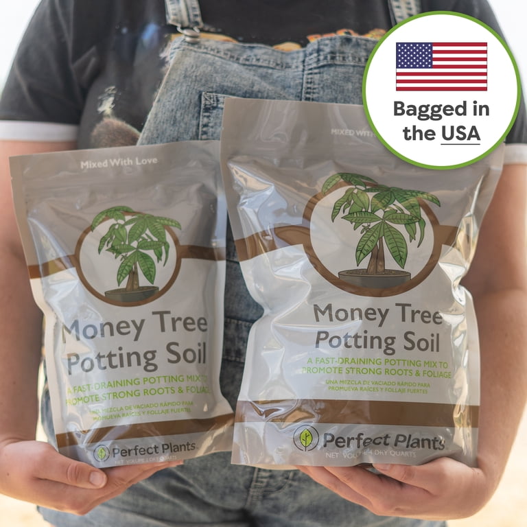 Perfect Plants Money Tree Potting Soil 4qt | Organic Coco Coir Based Plant Mix for Indoor Tr