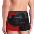 thumbnail image 4 of Rateoe Black Dog Red Background Mens Boxer Briefs Poly Spandex Performance Boxer Briefs Underwear Hem Boxer Briefs - Medium, 4 of 8