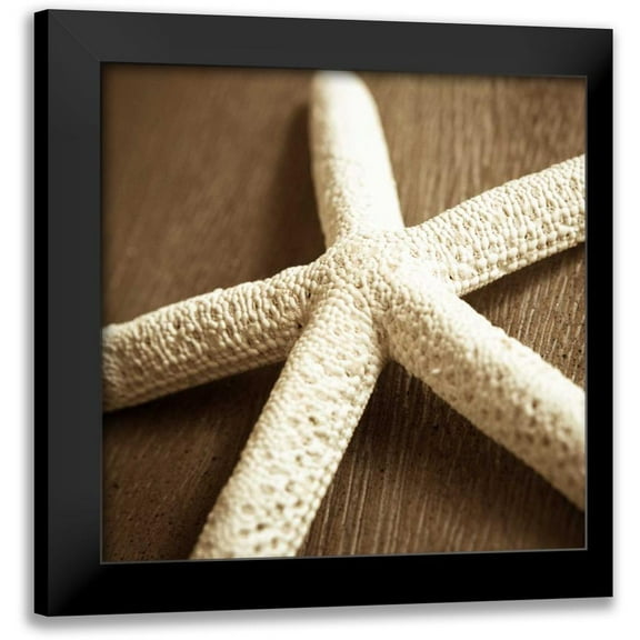 Semenza, Marlana 12x12 Black Modern Framed Museum Art Print Titled - Natural Starfish
