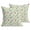 Green, variant on Throw Pillow Covers 18x18 Inch Set of 2 Dandelion Decorative Pillows Cushion Case Soft Square Pillowcases Colorful Spring Flowers Green Throw Pillows for Couch Sofa Bed Chair Home Decor