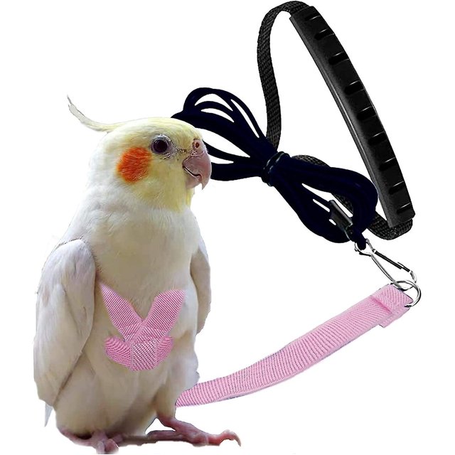 Arnés ajustable para pájaros con correa de 80 pulgadas, Kit de vuelo al aire libre, cuerda de entrenamiento para pájaros, loros, cacatúas