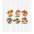 thumbnail image 2 of Ambesonne Vegetable Shower Curtain, Various Mushrooms Grass, 69"Wx75"L, Paprika Pale Brown and Khaki, 2 of 4