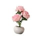 thumbnail image 3 of Lámpara de flores,Luz de de bonsái de mesa,Lámpara de mesa de rosas,Lámpara de de rosas Lámpara de de flores de rosas para fiesta en Estilo B, 3 of 8