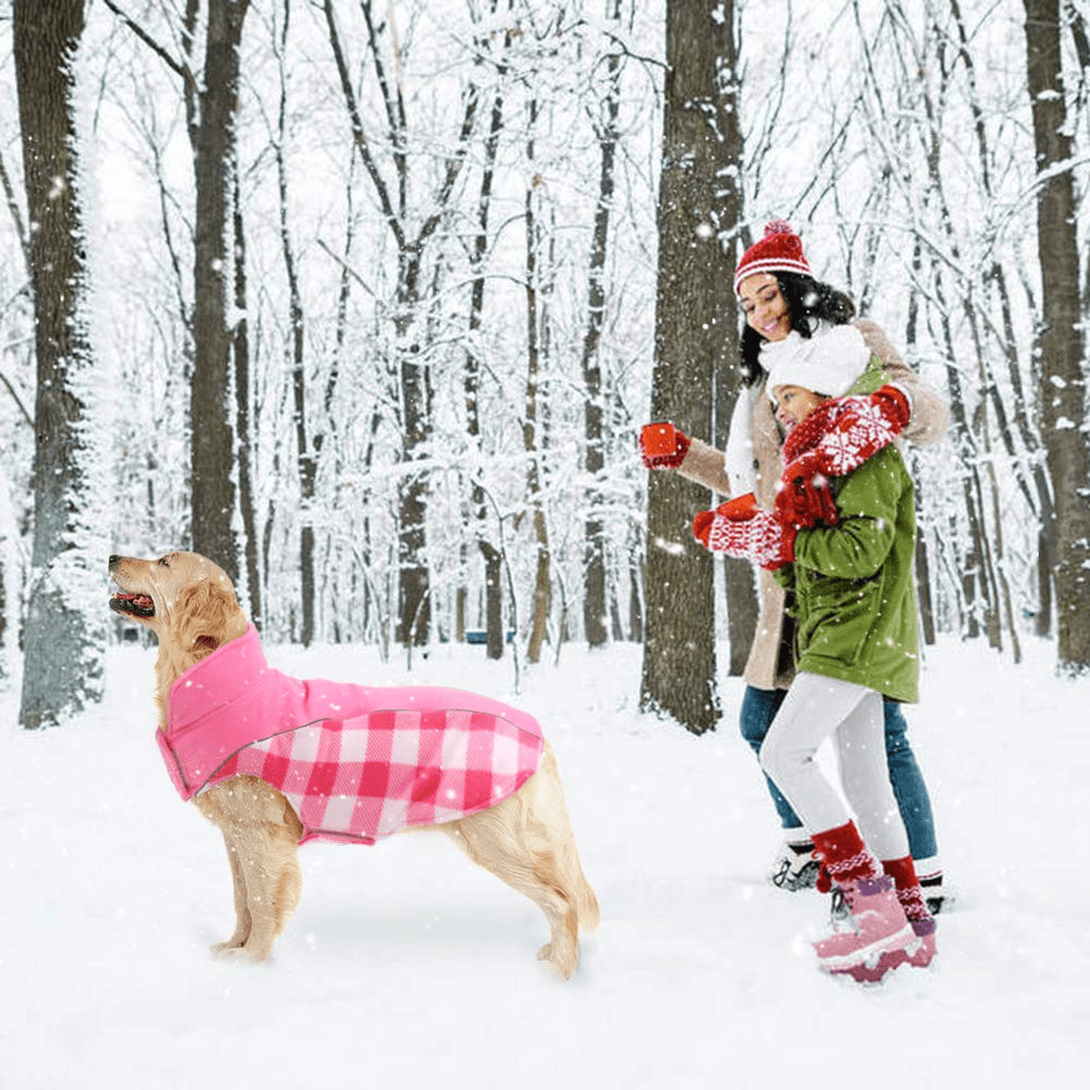 Kuoser Reversible Dog Winter Coat, Reflective Waterproof Dog Jacket, Cotton Lined Vest Windproof Outdoor for Small Medium and Large Dogs