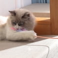 thumbnail image 4 of Cat Wand Toy Interactive Funny Fake Feather Cat Wand Kitten Teaser Toy with Bell, 4 of 10