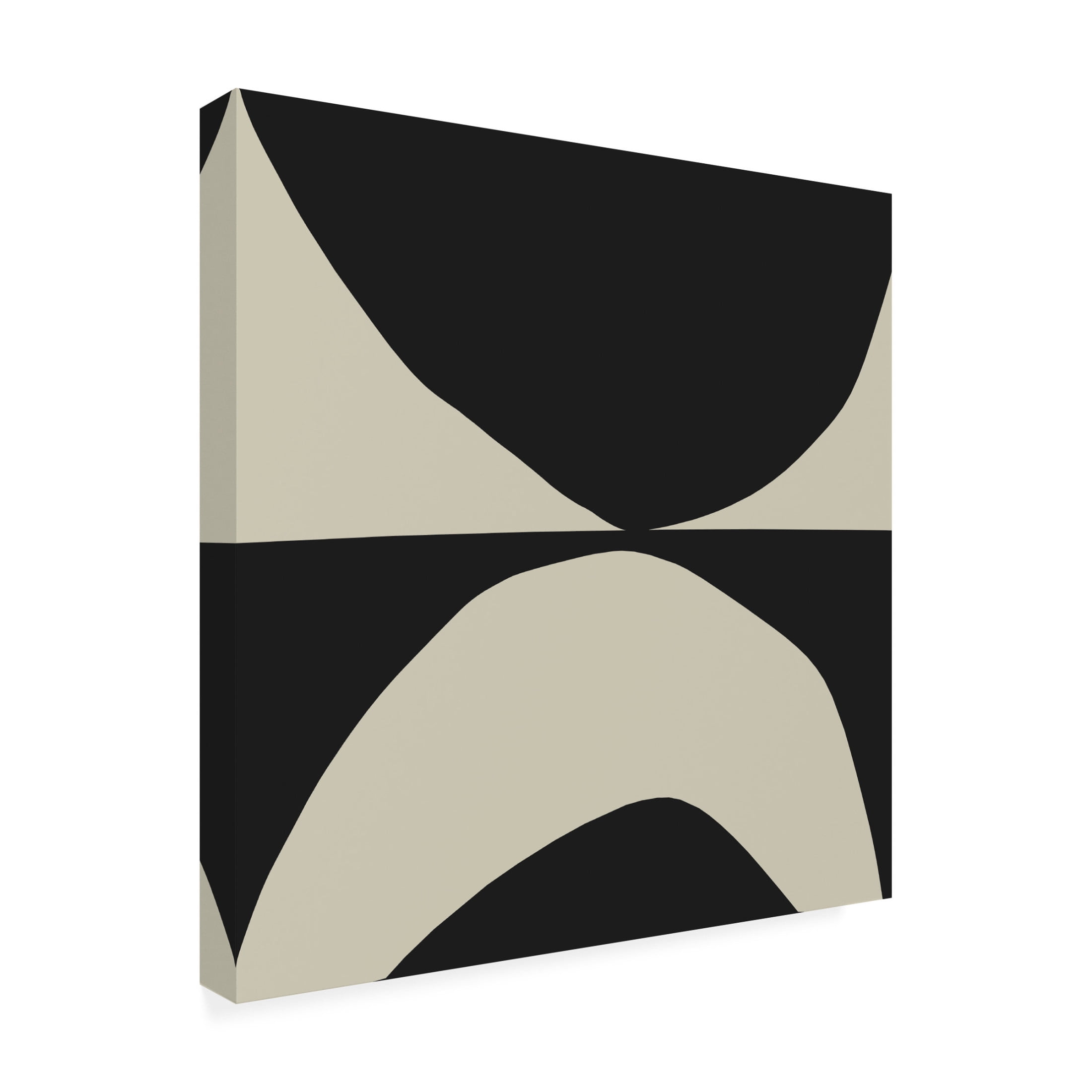 Trademark Fine Art Dan Hobday Blackbird Canvas Wall Art