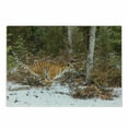 thumbnail image 1 of Safari Cutting Board, Bengal Tiger in Snowy Jungle Hunting and Cruising for Prey Furry Majestic Mammal, Decorative Tempered Glass Cutting and Serving Board, Small Size, Orange Green, by Ambesonne, 1 of 1