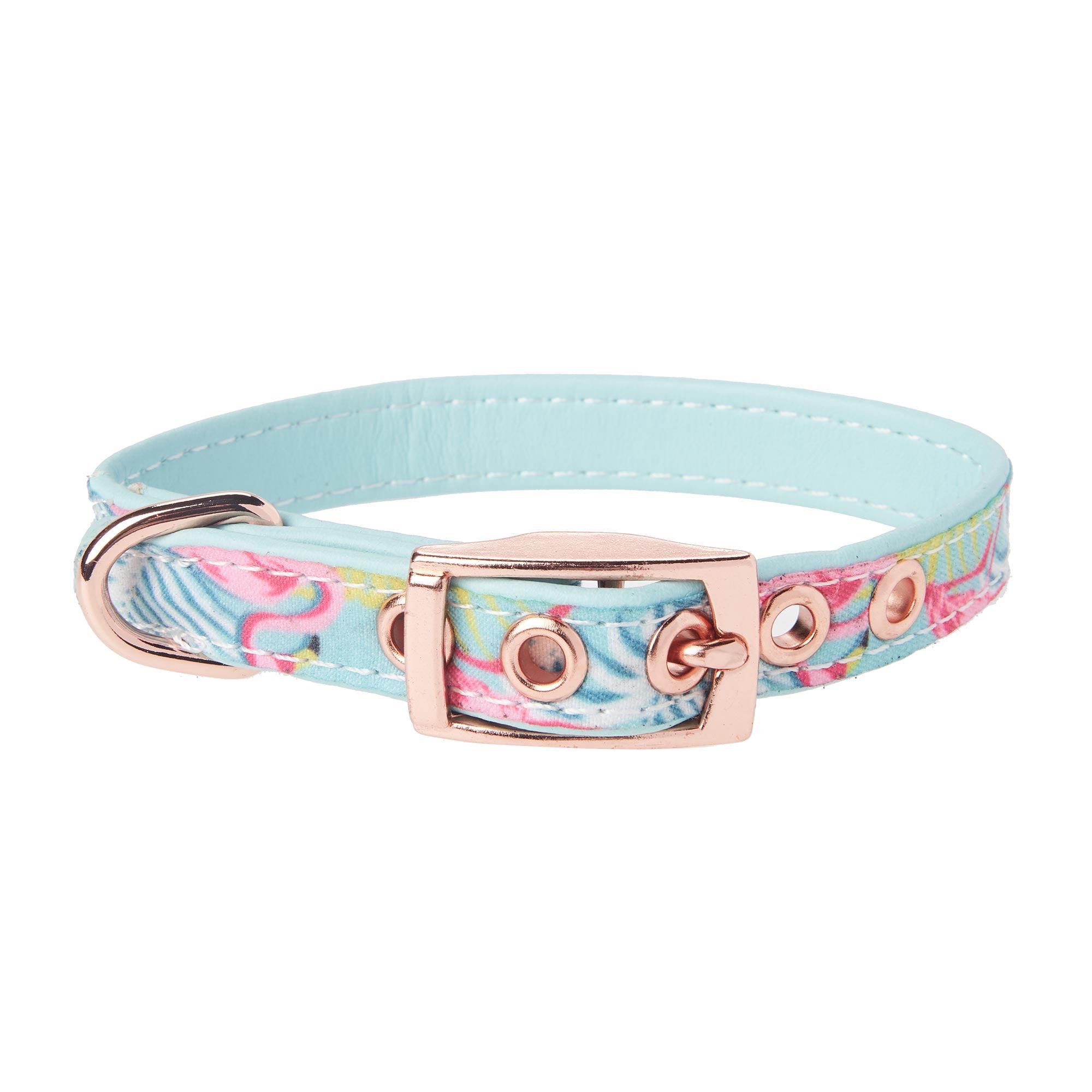 small dog collar walmart